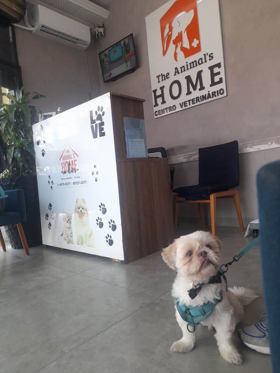 Espaço do The Animal's Home
